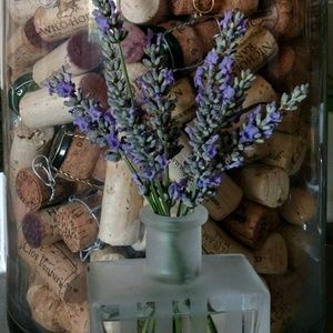 Meet your Posher, Maile